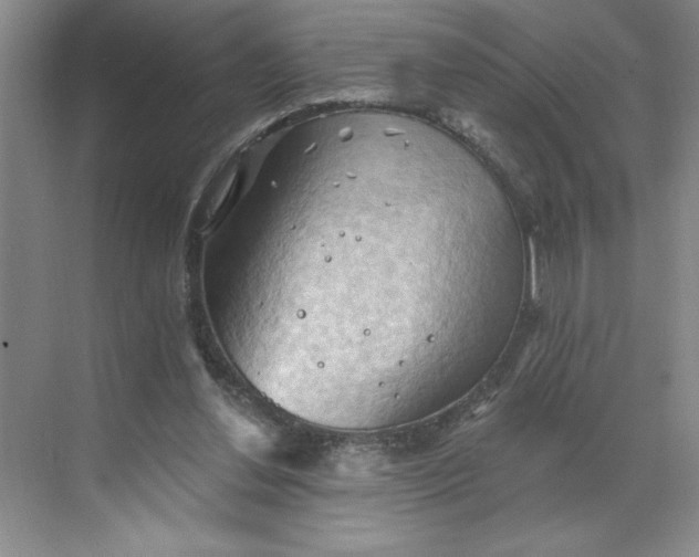 X0000068820252200605191840