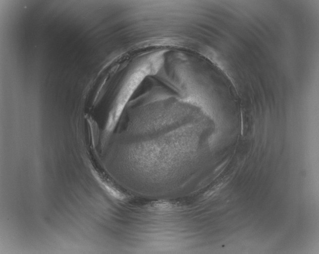 X0000068820253200605191840