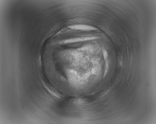 X0000068820254200605191840