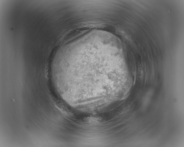 X0000068820255200605191840