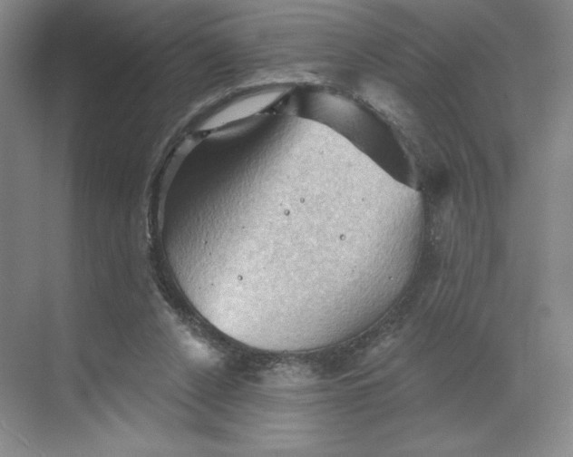 X0000068820256200605191840