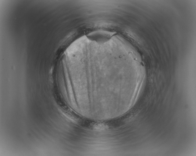 X0000068820258200605191840