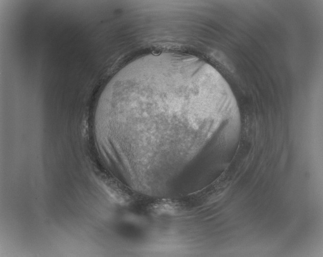 X0000068820259200605191840