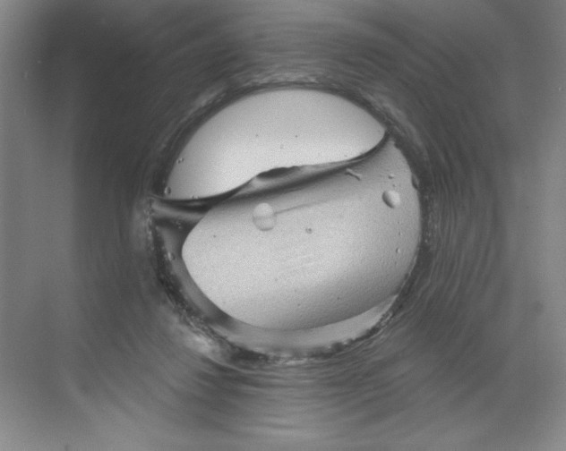 X0000068820260200605191840