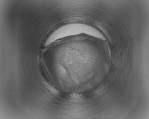 X0000068820261200605191841