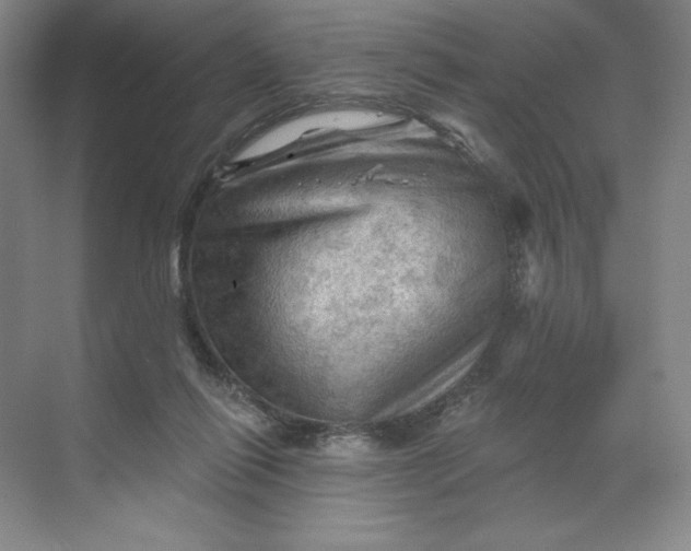 X0000068820262200605191841