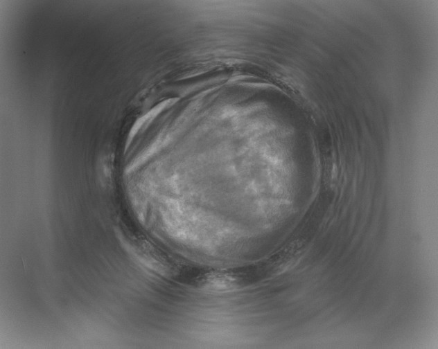 X0000068820263200605191841