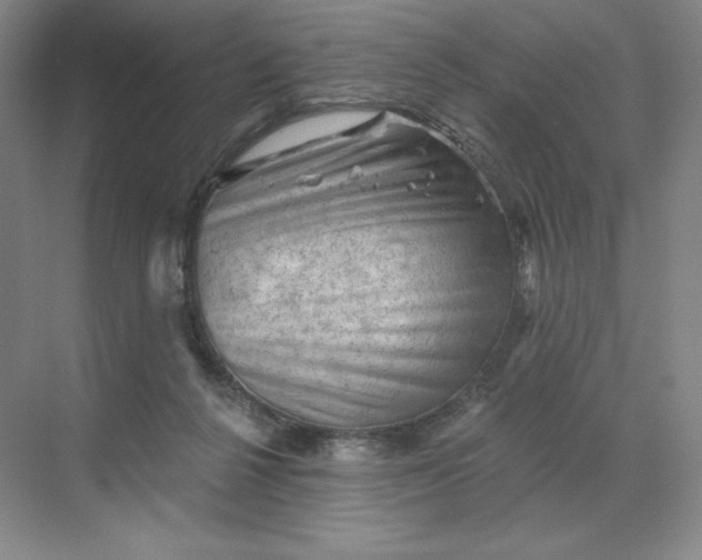 X0000068820264200605191841