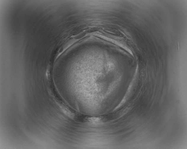 X0000068820265200605191841