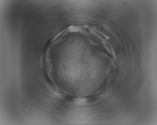 X0000068820266200605191841