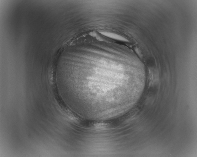 X0000068820268200605191841