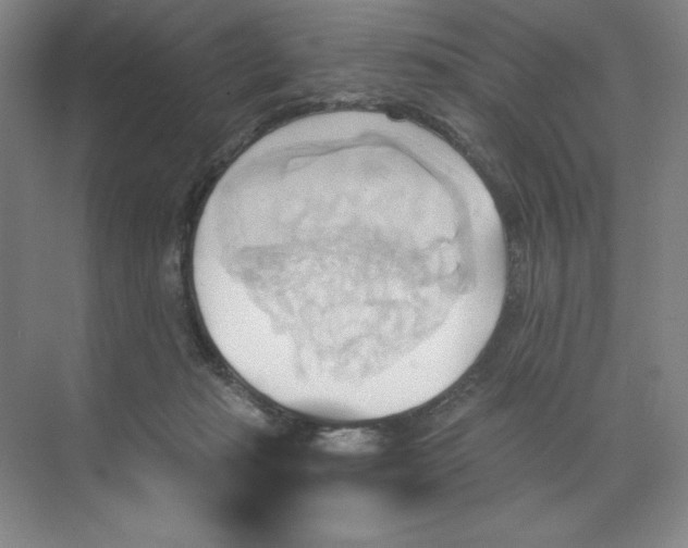 X0000068820269200605191841