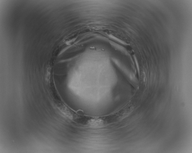 X0000068820271200605191841