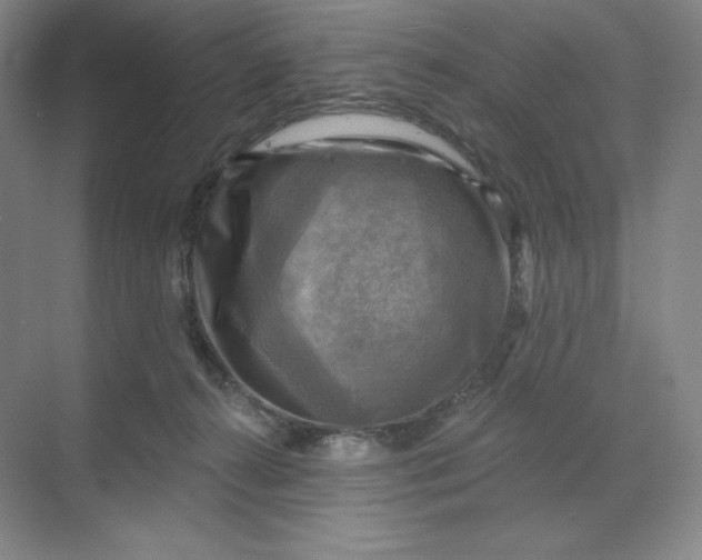 X0000068820272200605191841