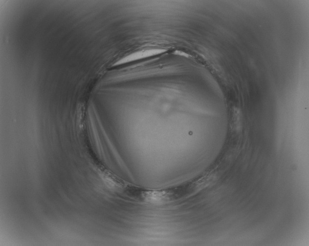 X0000068820273200605191841