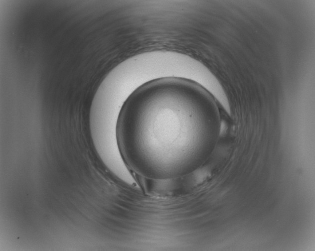 X0000068820276200605191841