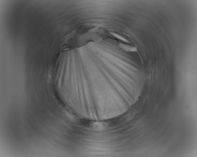 X0000068820277200605191841