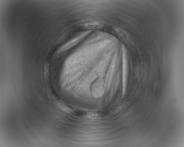 X0000068820278200605191841