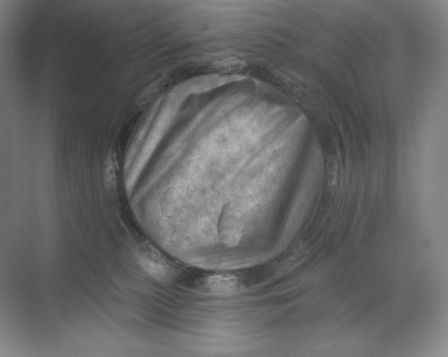 X0000068820279200605191841