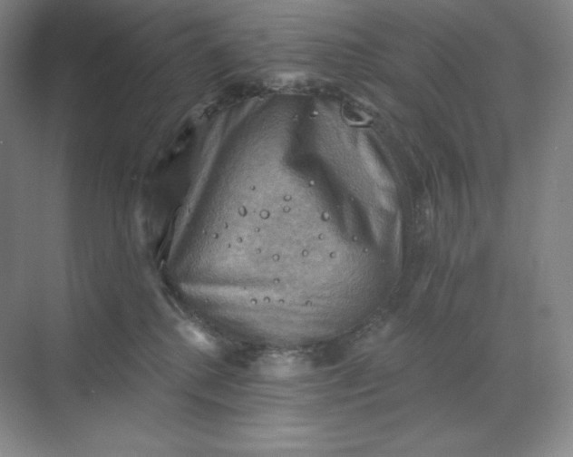 X0000068820280200605191841