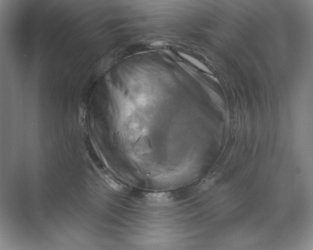 X0000068820281200605191841