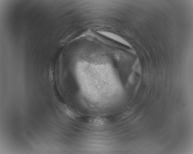 X0000068820282200605191841