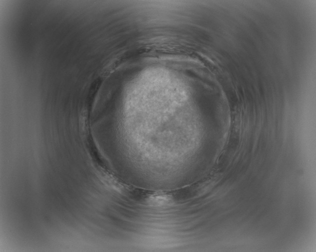 X0000068820283200605191841