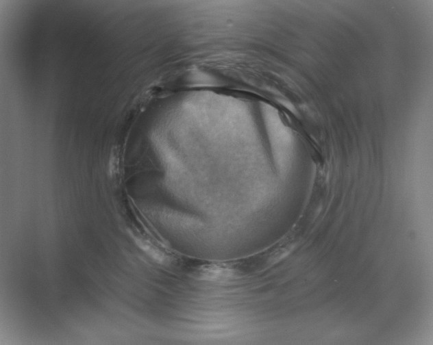 X0000068820284200605191841