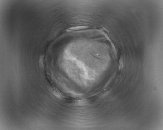 X0000068820286200605191841