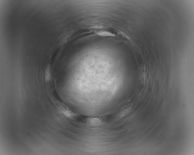 X0000068820287200605191841