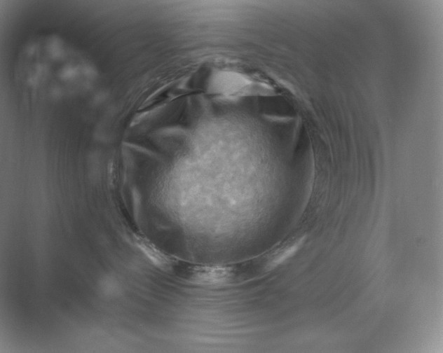 X0000068820288200605191841