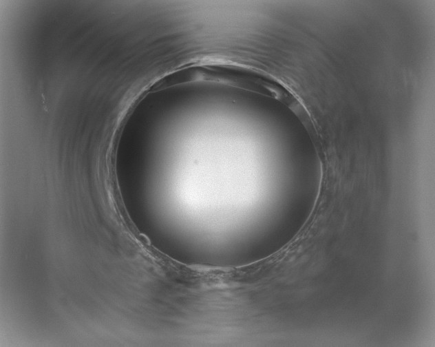 X0000068820289200605191840