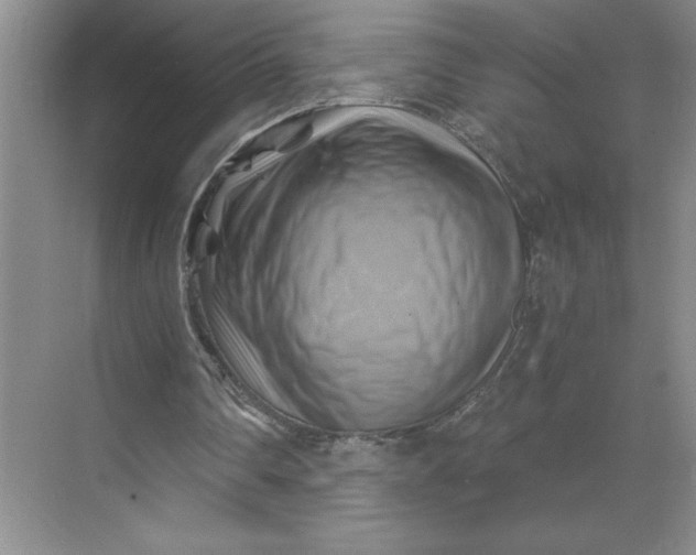 X0000068820290200605191840