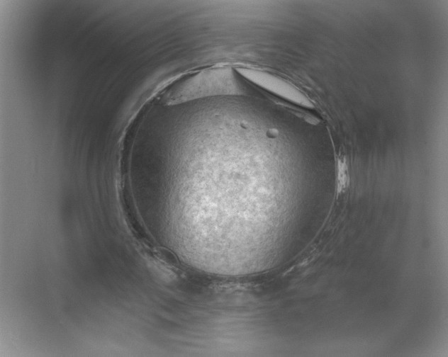 X0000068820291200605191840