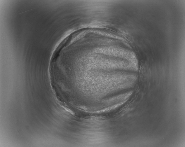 X0000068820292200605191840