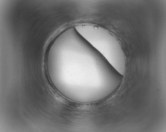 X0000068820293200605191840