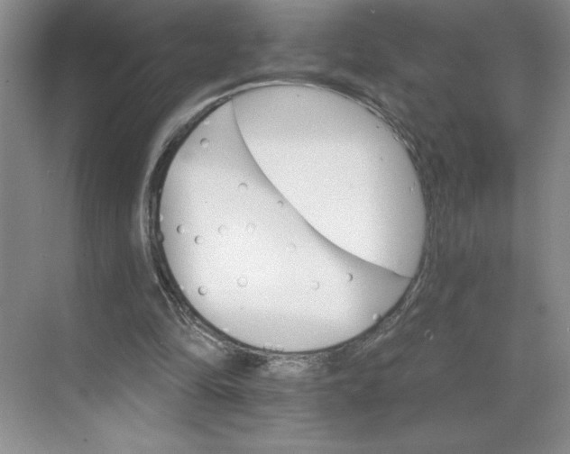 X0000068820294200605191840