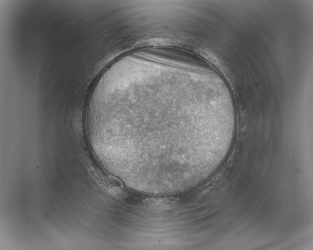 X0000068820297200605191840