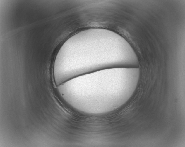 X0000068820299200605191840