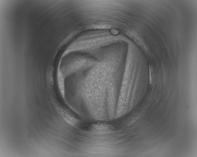 X0000068820300200605191840