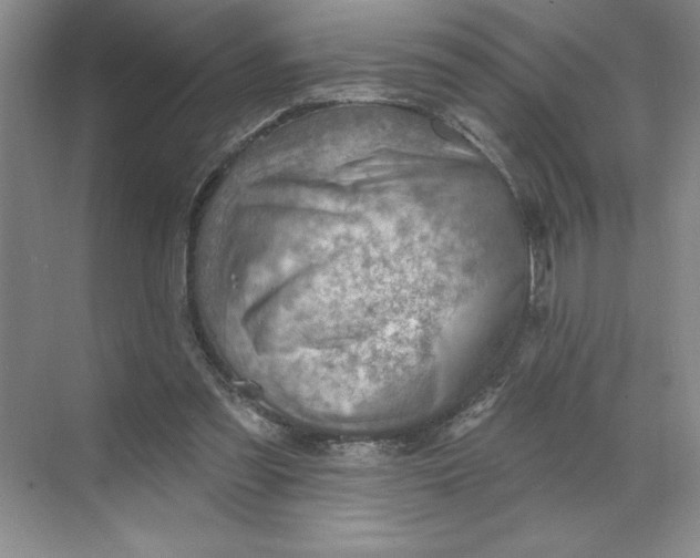 X0000068820301200605191840