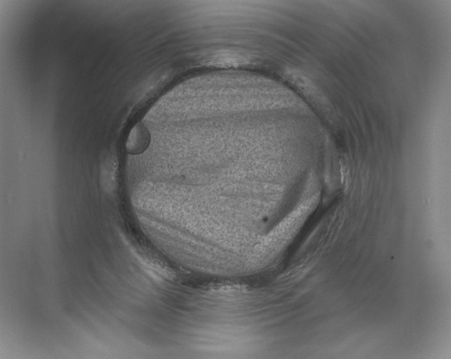 X0000068820304200605191840