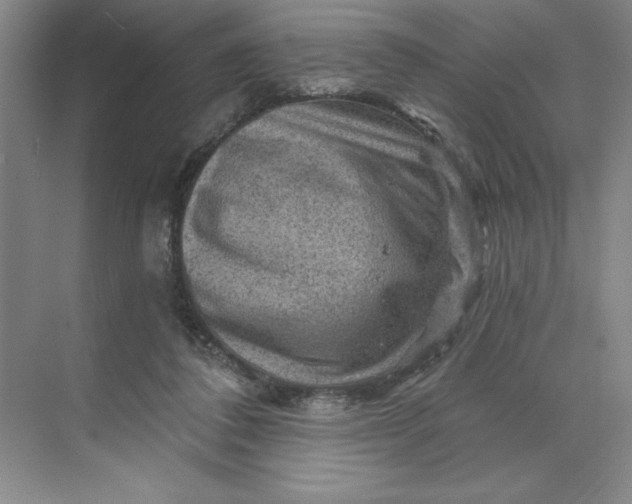 X0000068820308200605191840