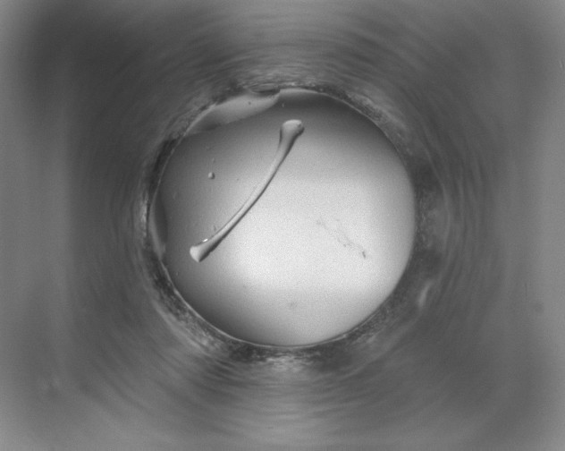 X0000068820310200605191840