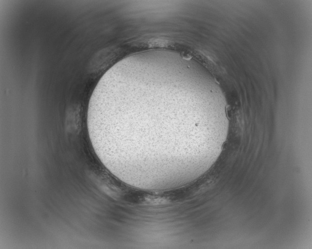 X0000068820311200605191840