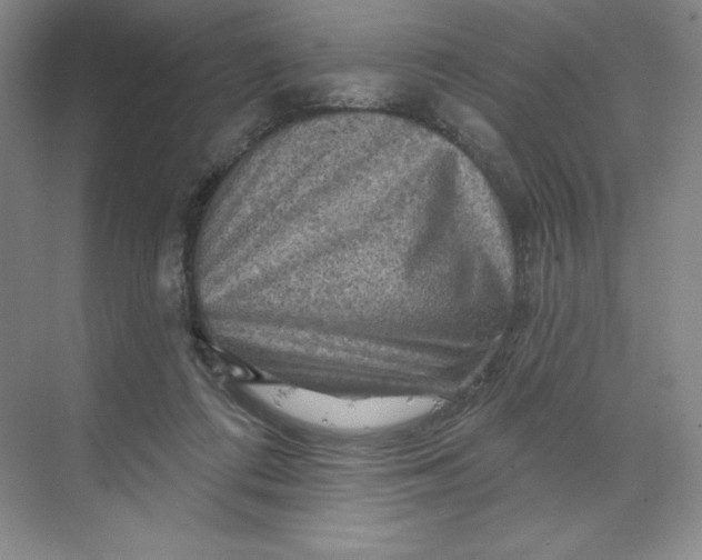 X0000068820312200605191840