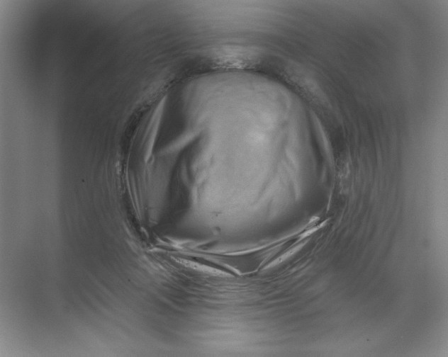 X0000068820314200605191840