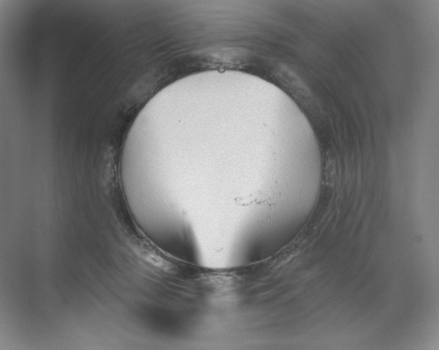 X0000068820318200605191840