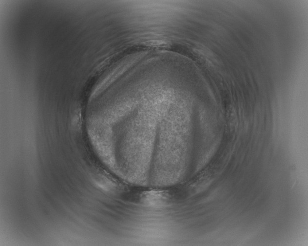 X0000068820320200605191840