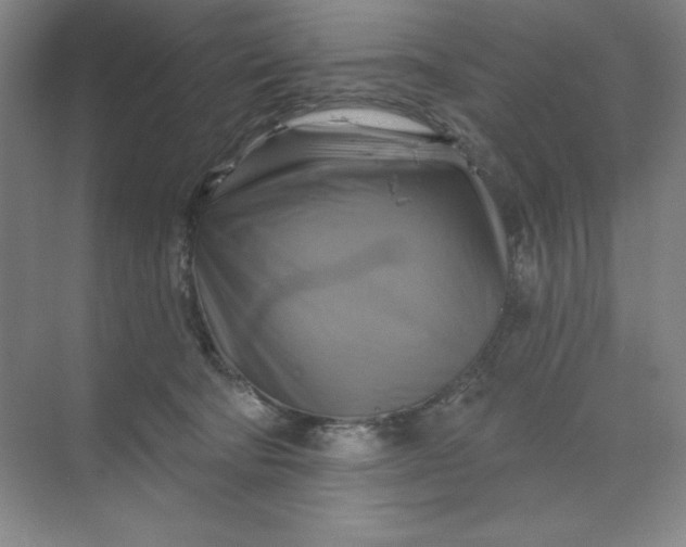 X0000068820322200605191840